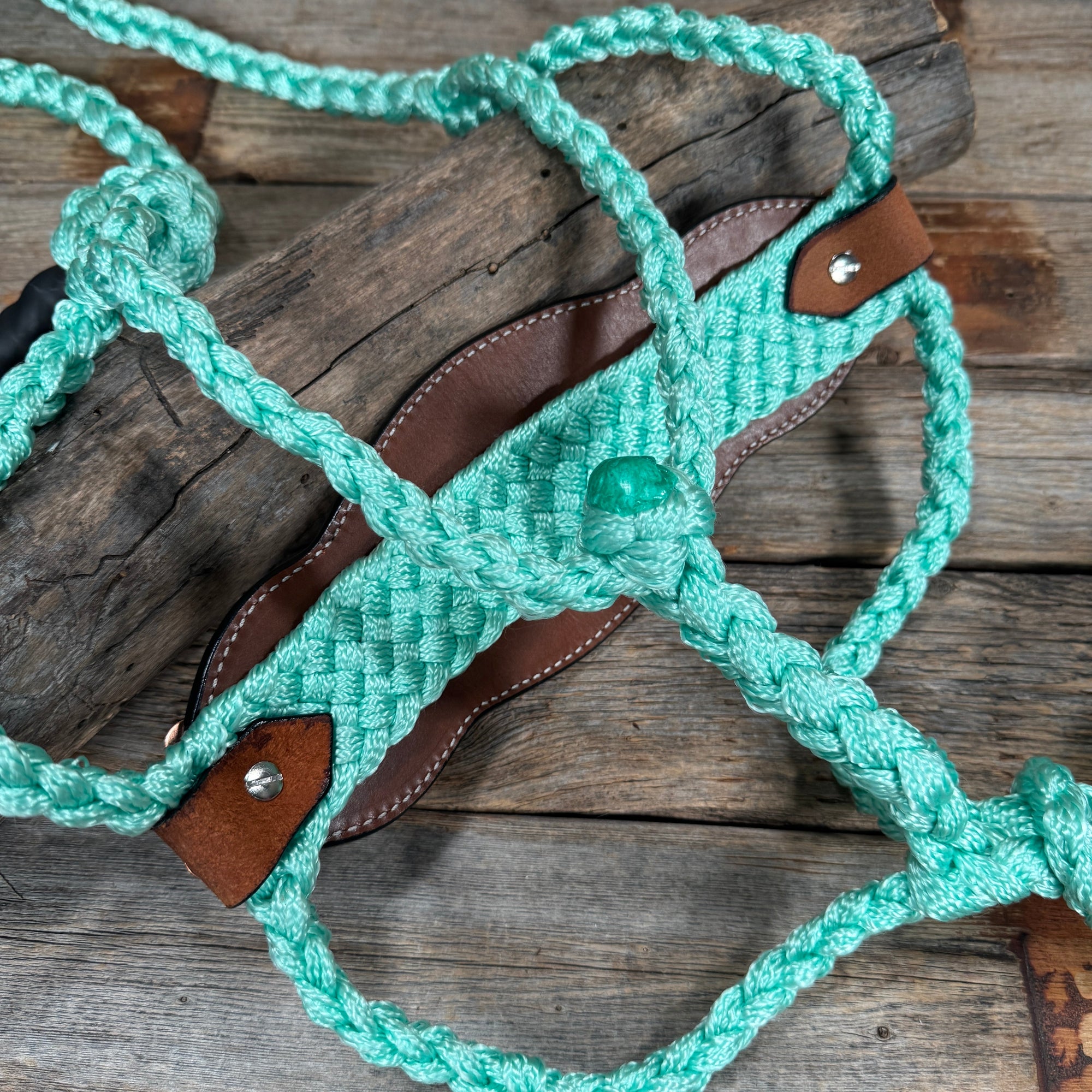Bronc Noseband Mule Tape Halter with Copper Clear Conchos 