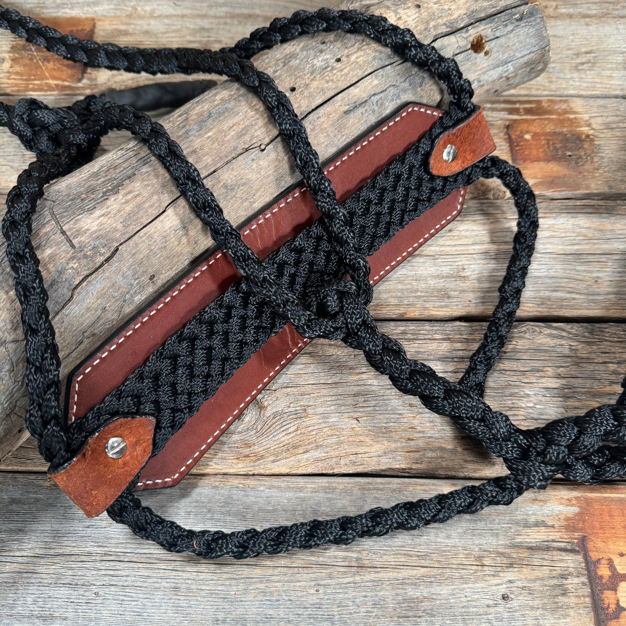 Bronc Noseband Mule Tape Halter with Copper Ruby/Jet/Champagne Conchos 