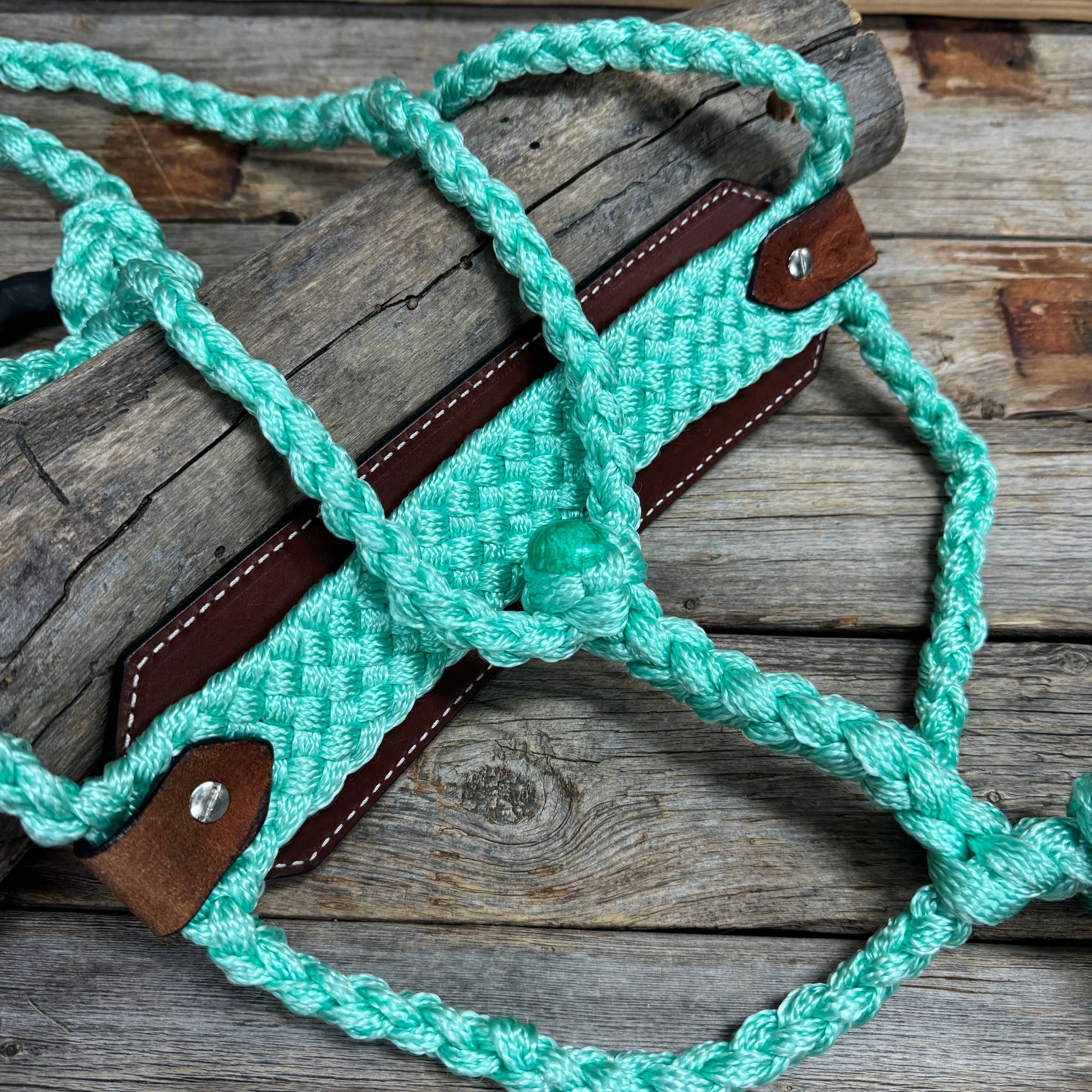 Bronc Noseband Mule Tape Halter with Western Turquoise Conchos 