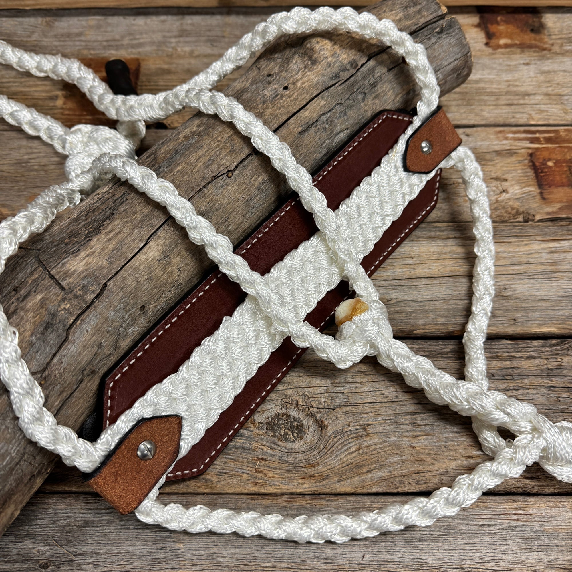 Bronc Noseband Mule Tape Halter with Bright Silver Clear Conchos 