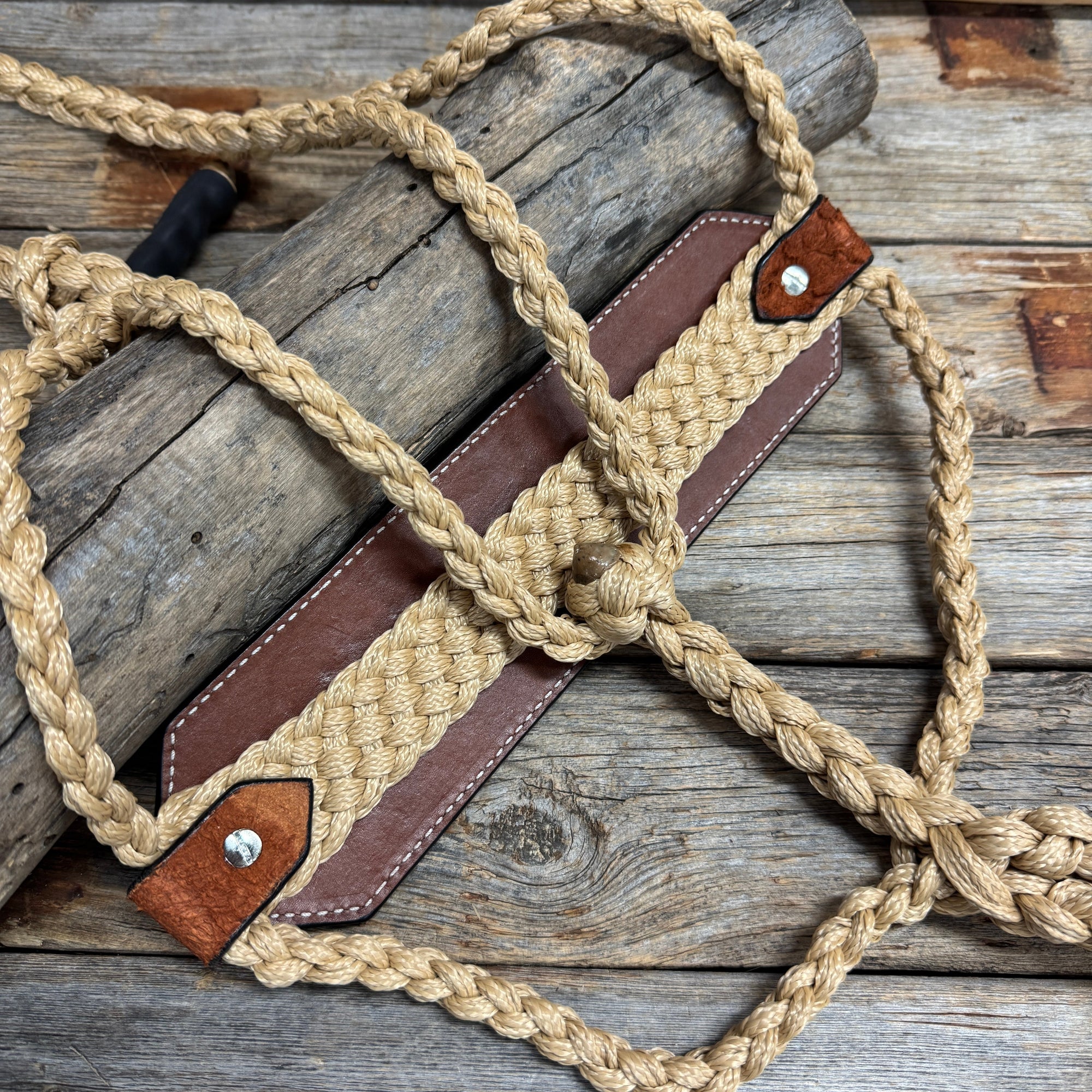 Bronc Noseband Mule Tape Halter with Western Horse Conchos 