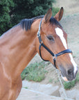 Tuscany Black Leather Halter with Cognac Padding
