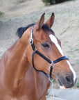 Tuscany Black Leather Halter with Cognac Padding