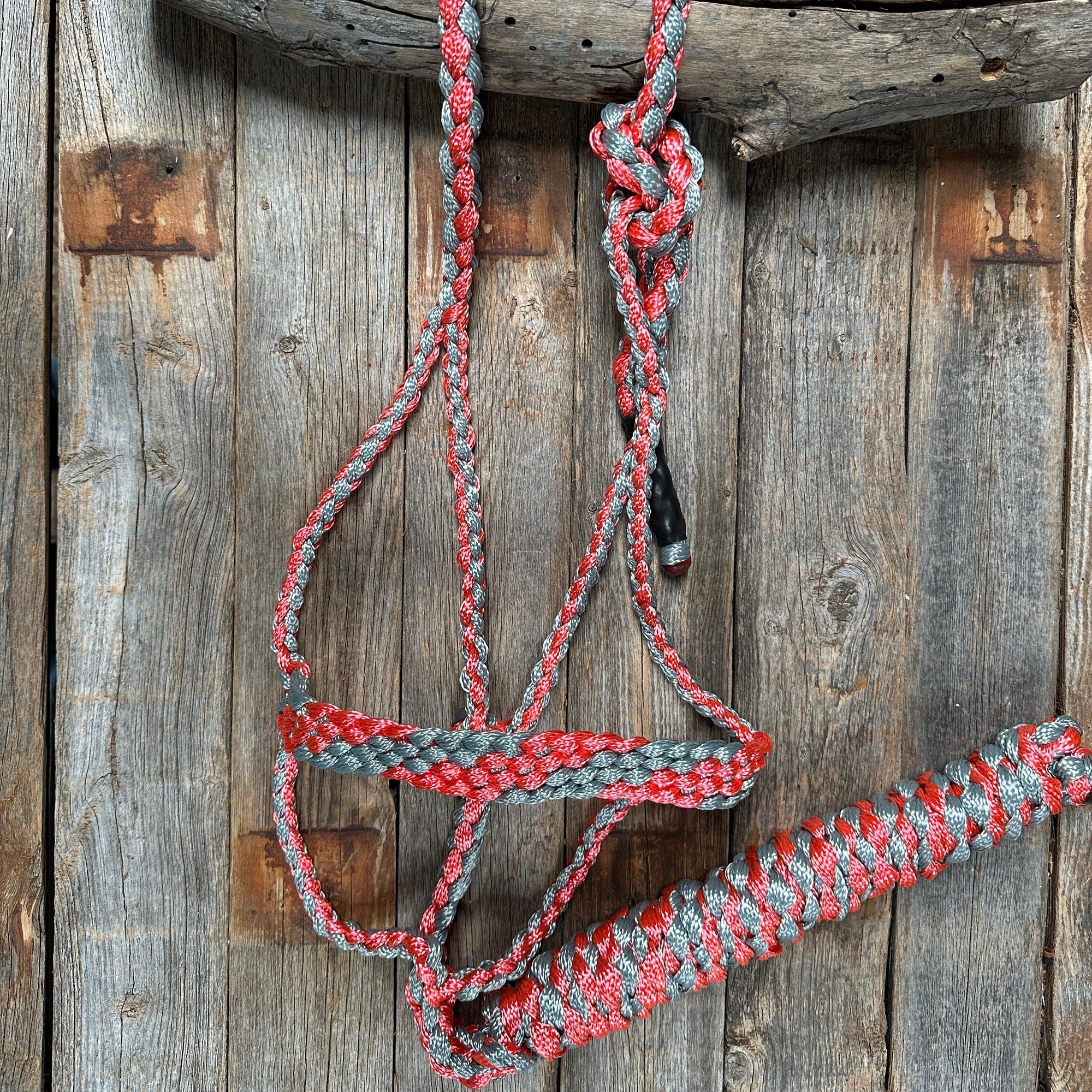 Mule Tape Halters - Two Tone Assorted Colors-