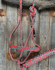Coral and Grey Mule Tape Halter