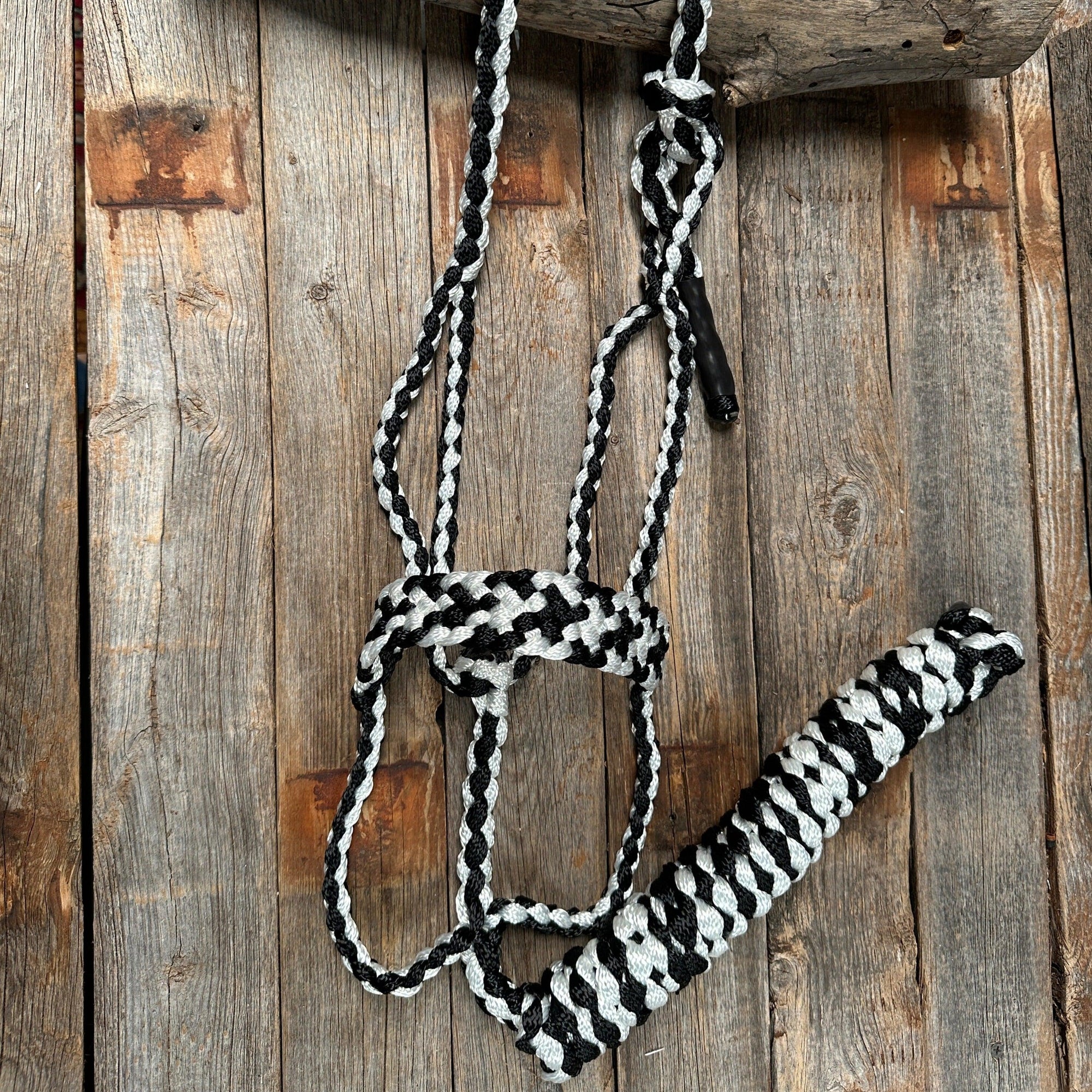 Mule Tape Halters - Two Tone Assorted Colors-