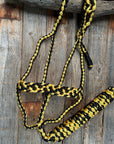 Gold and Black Mule Tape Halter