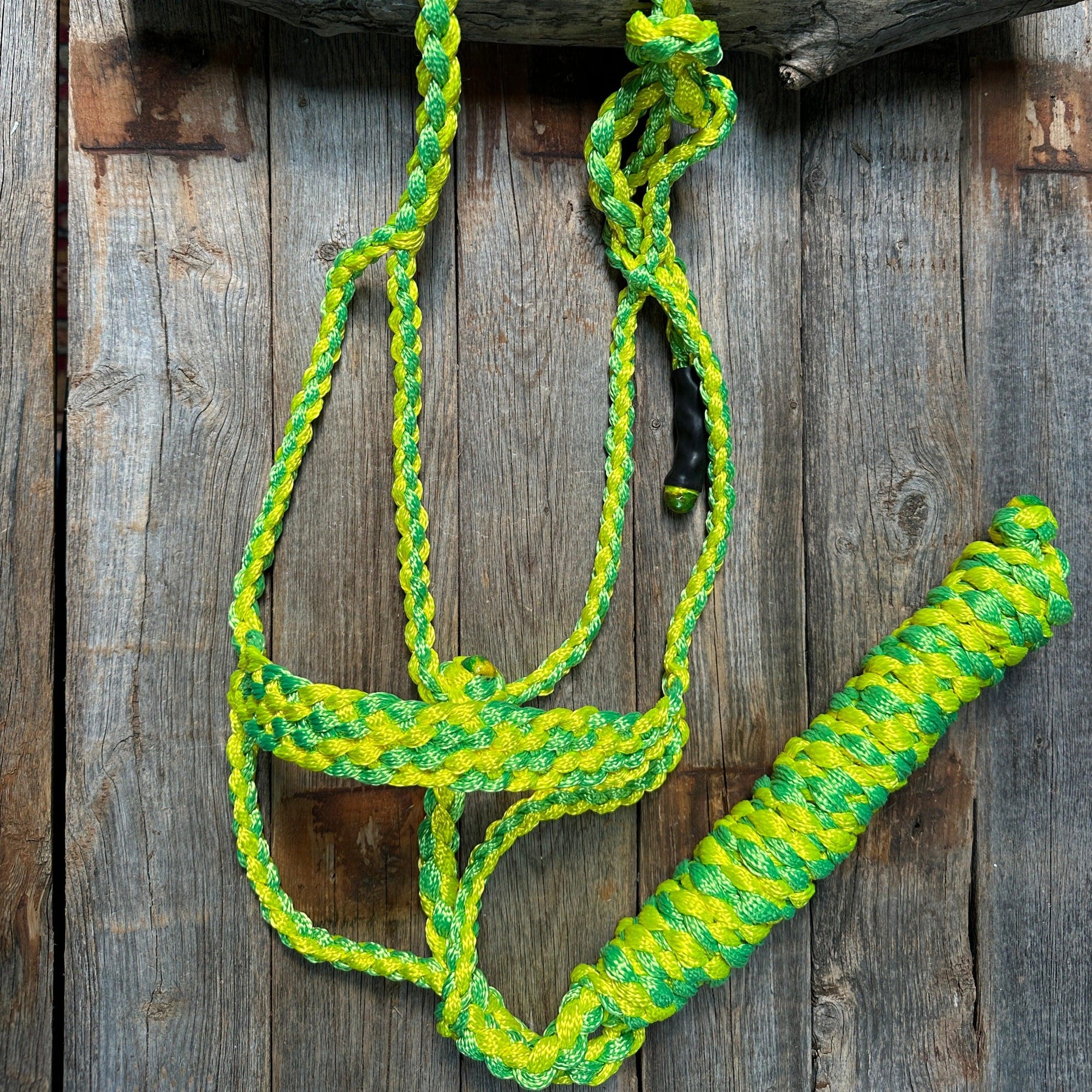 Mule Tape Halters - Two Tone Assorted Colors-
