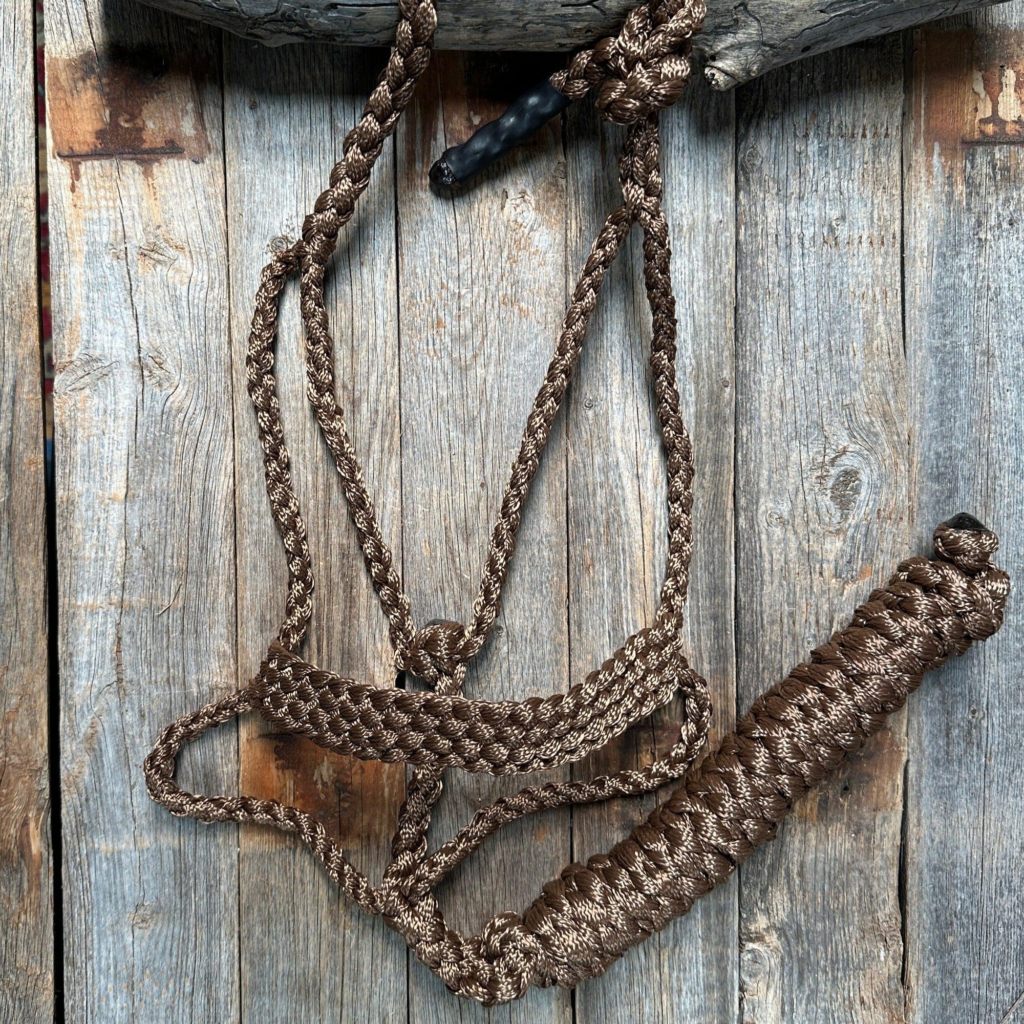 Brown Mule Tape Halter