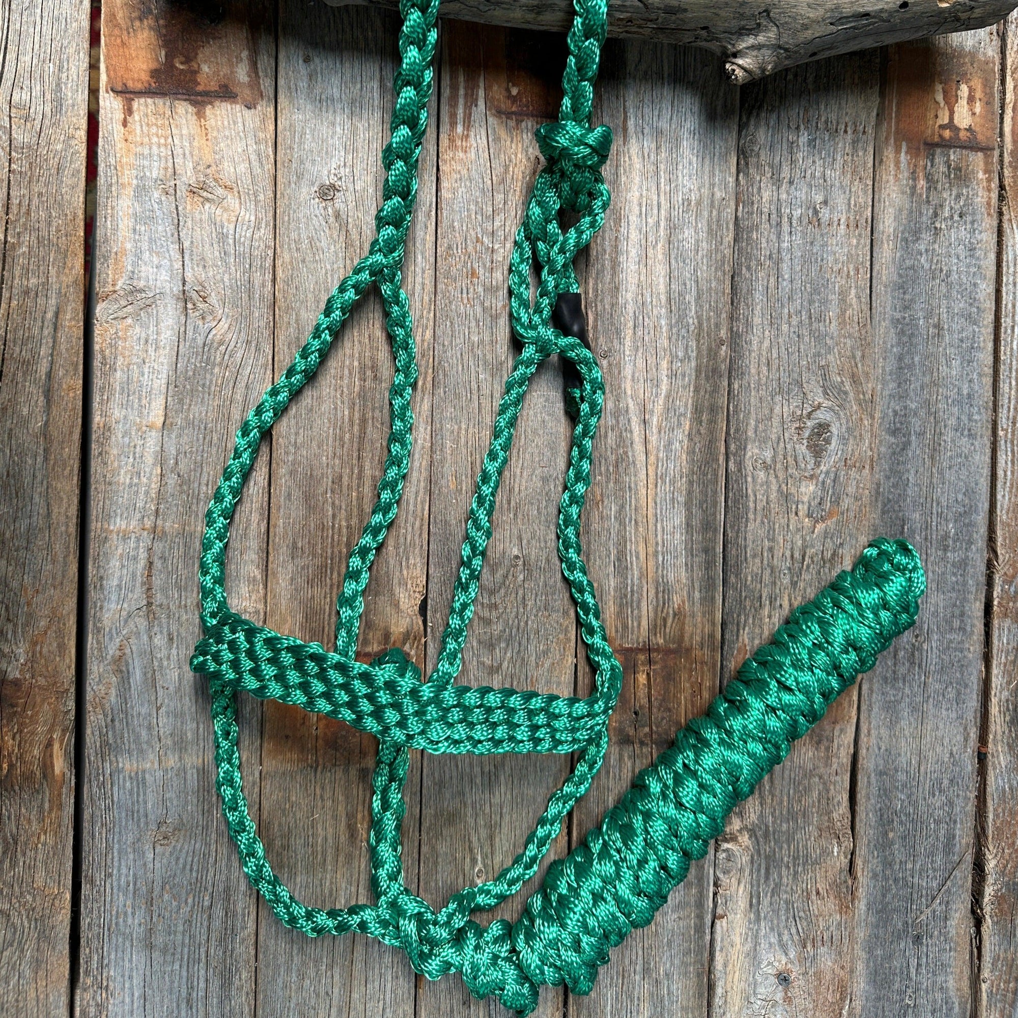 Green Mule Tape Halter