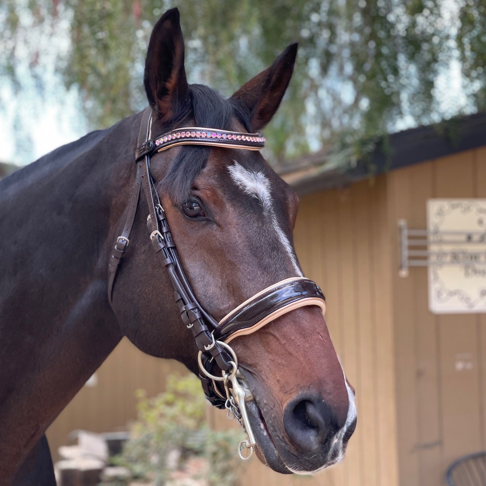 Florence - Brown Patent Leather Double Bridle with Cream Padding &amp; Rose Gold Piping