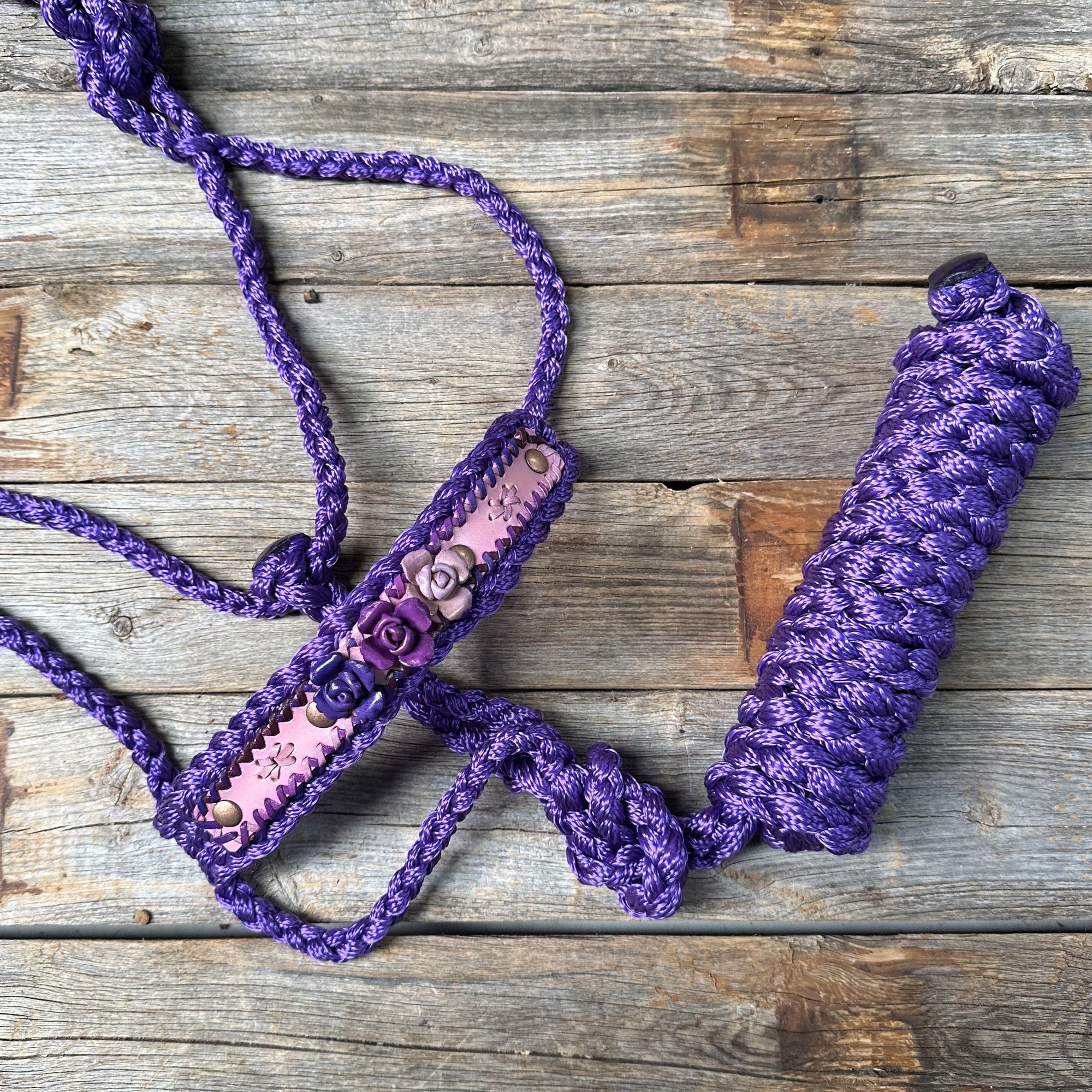 Purple Mule Tape Halter - Purple Roses 