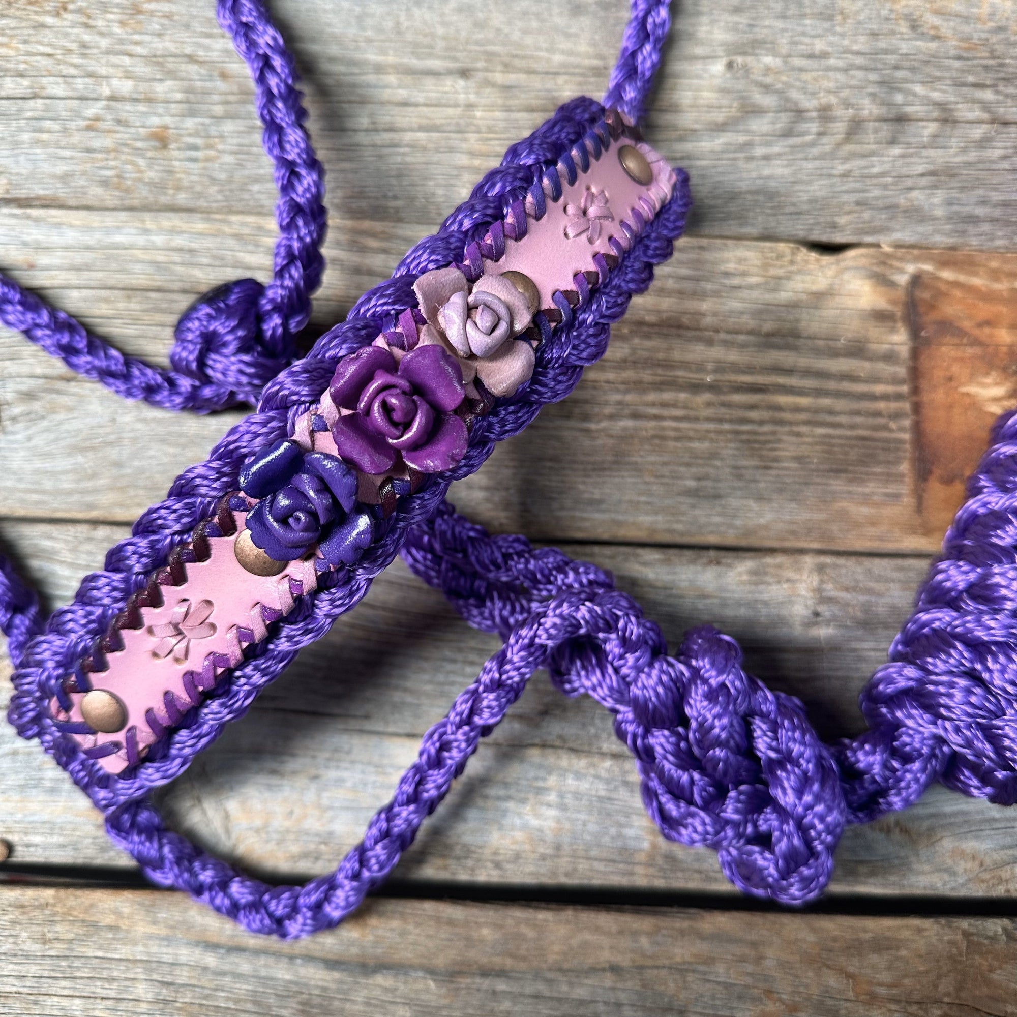 Purple Mule Tape Halter - Purple Roses 