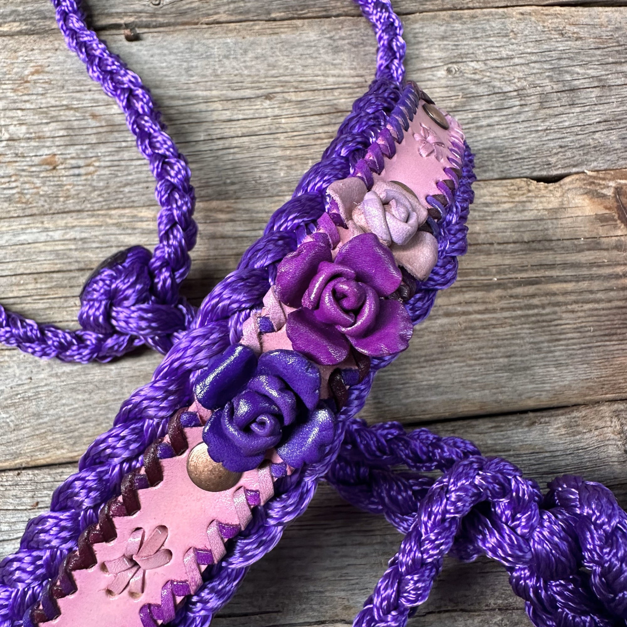 Purple Mule Tape Halter - Purple Roses 