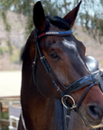 Crystal Browband - Americana 2