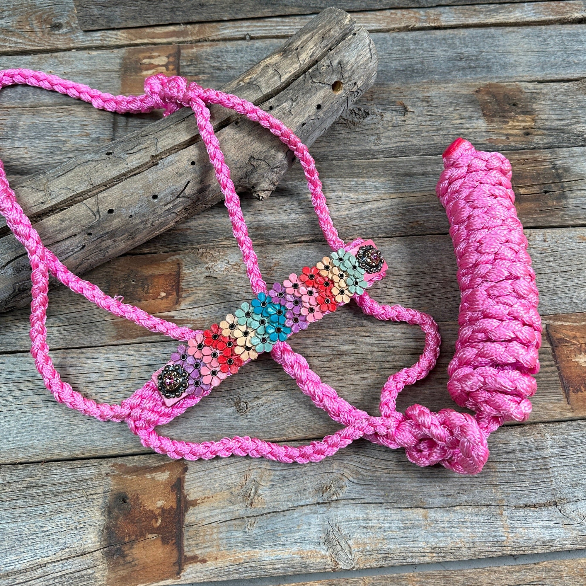 Pink Mule Tape Halter - Multi Floral and Pink 