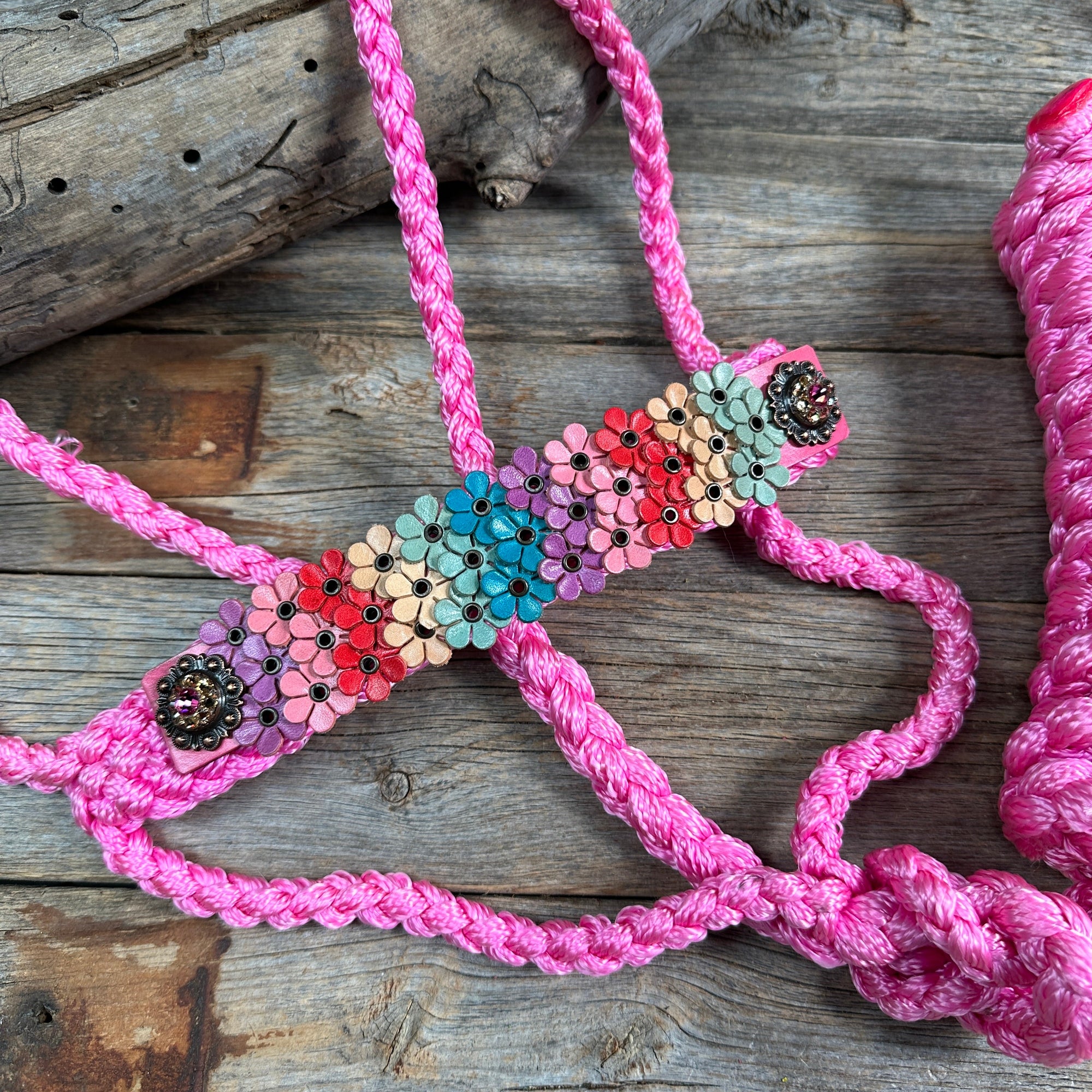Pink Mule Tape Halter - Multi Floral and Pink 