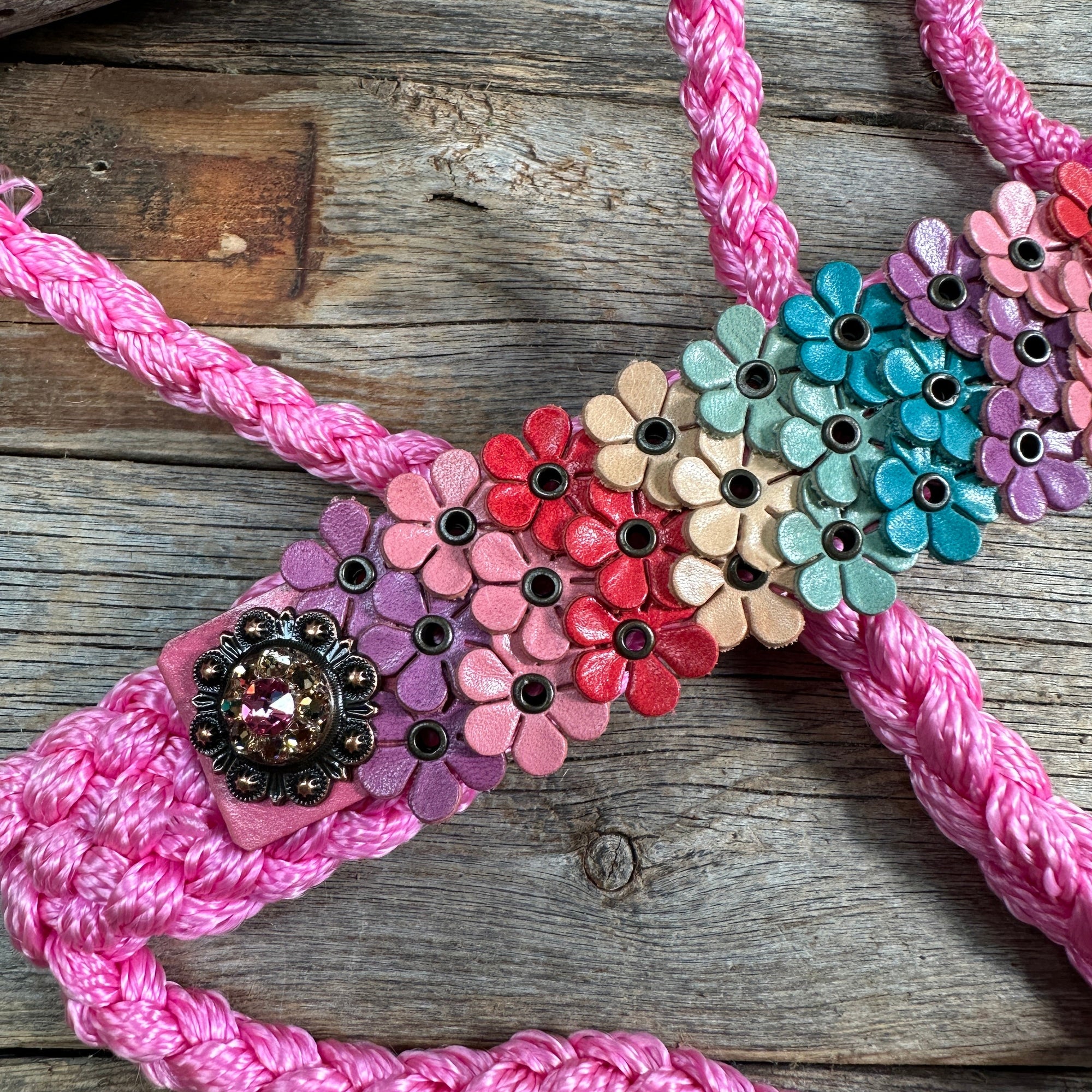 Pink Mule Tape Halter - Multi Floral and Pink 
