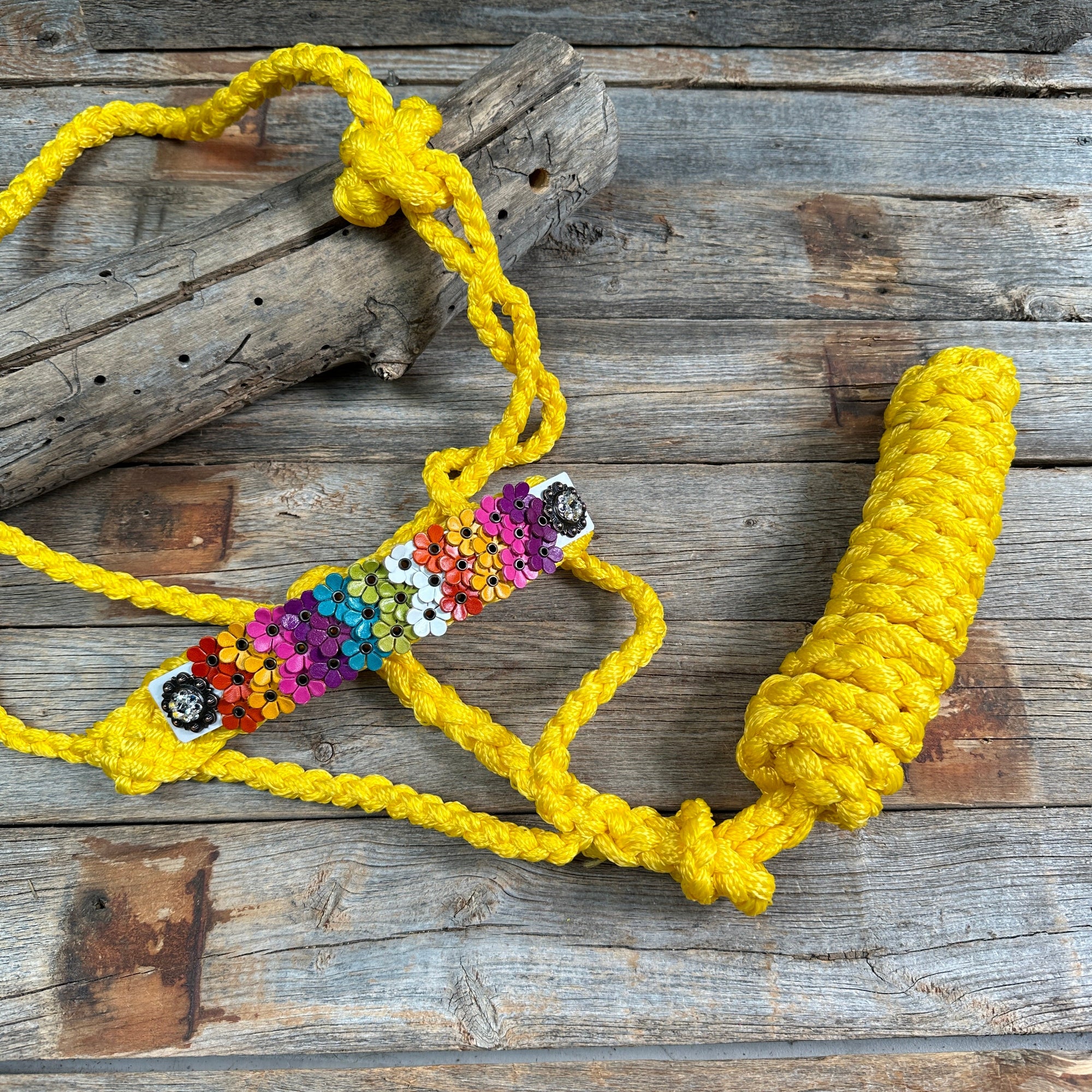 Yellow Mule Tape Halter - Multi Floral and Clear 