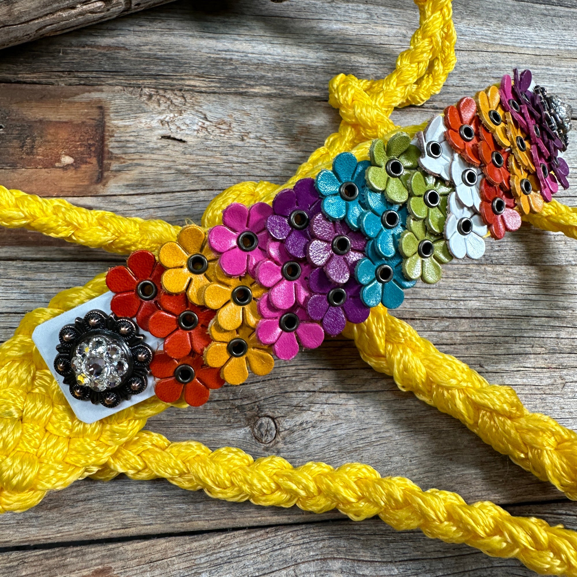 Yellow Mule Tape Halter - Multi Floral and Clear 