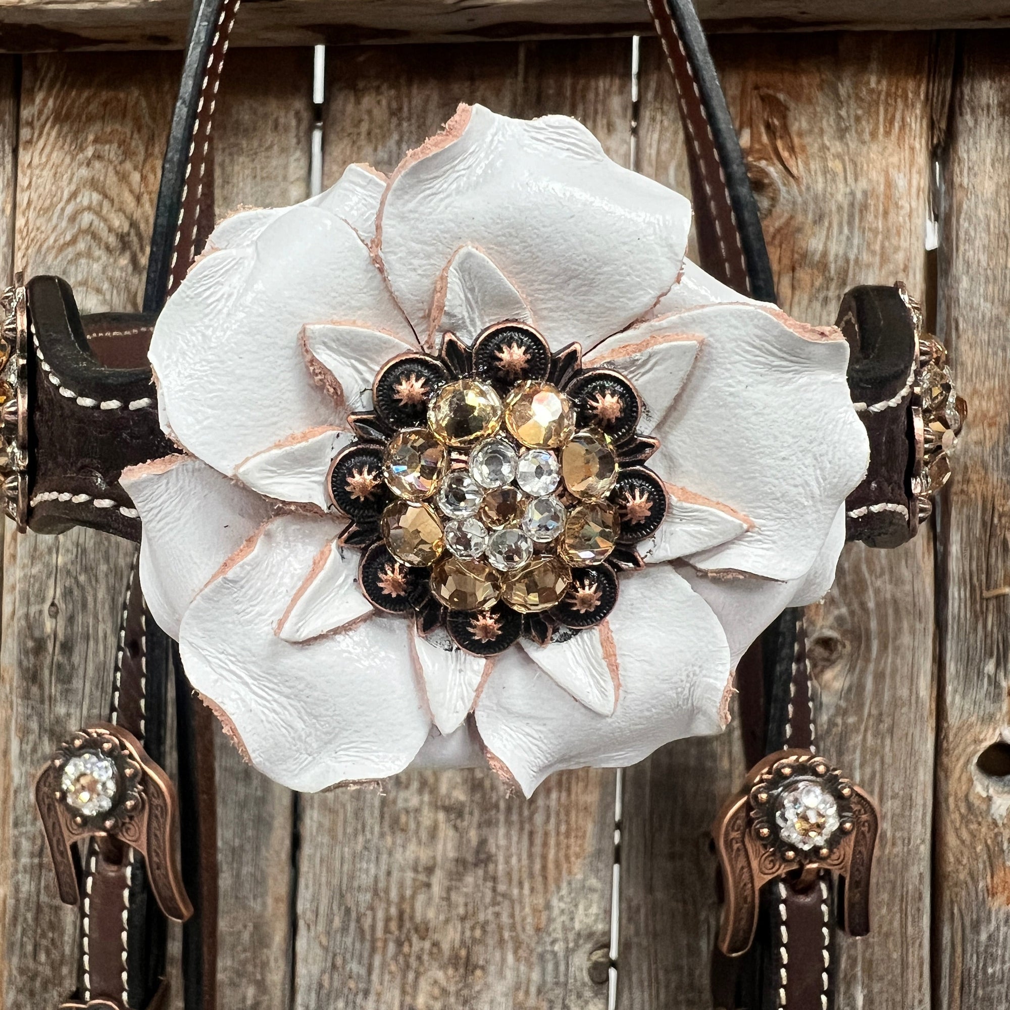 Dark Oil Basketweave Champagne - Clear Browband/One Ear Tack Set  