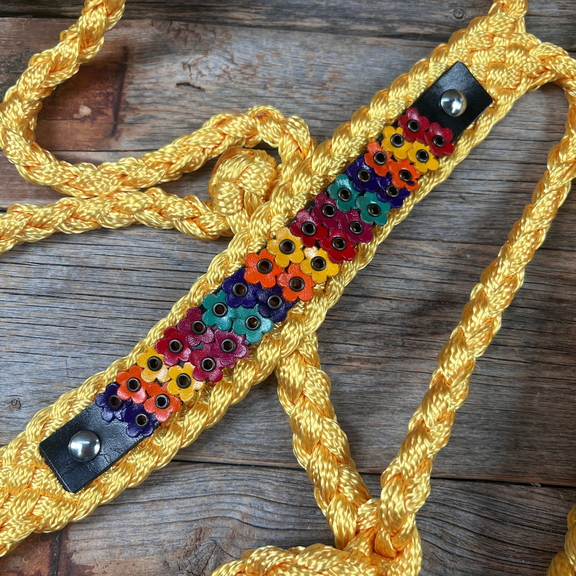 Gold Mule Tape Halter - Multicolored Flowers 