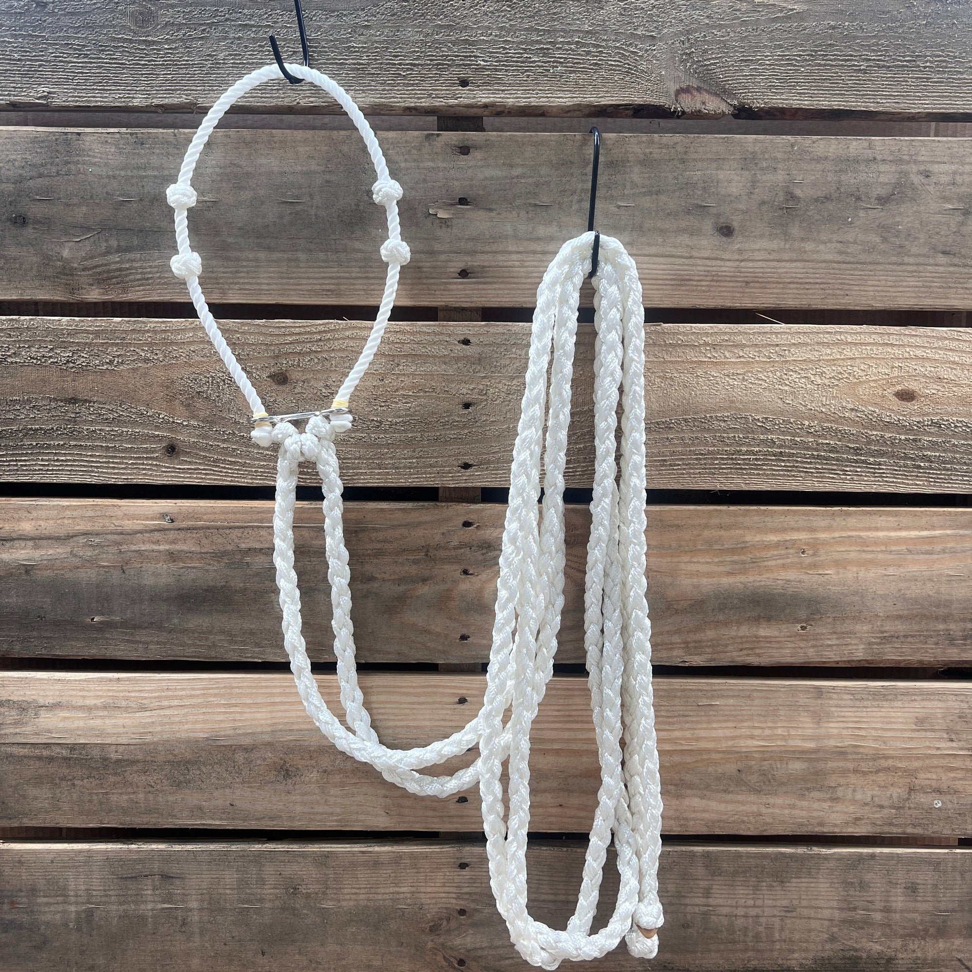 Lariat  Hackamore and Double Reins - Assorted Colors