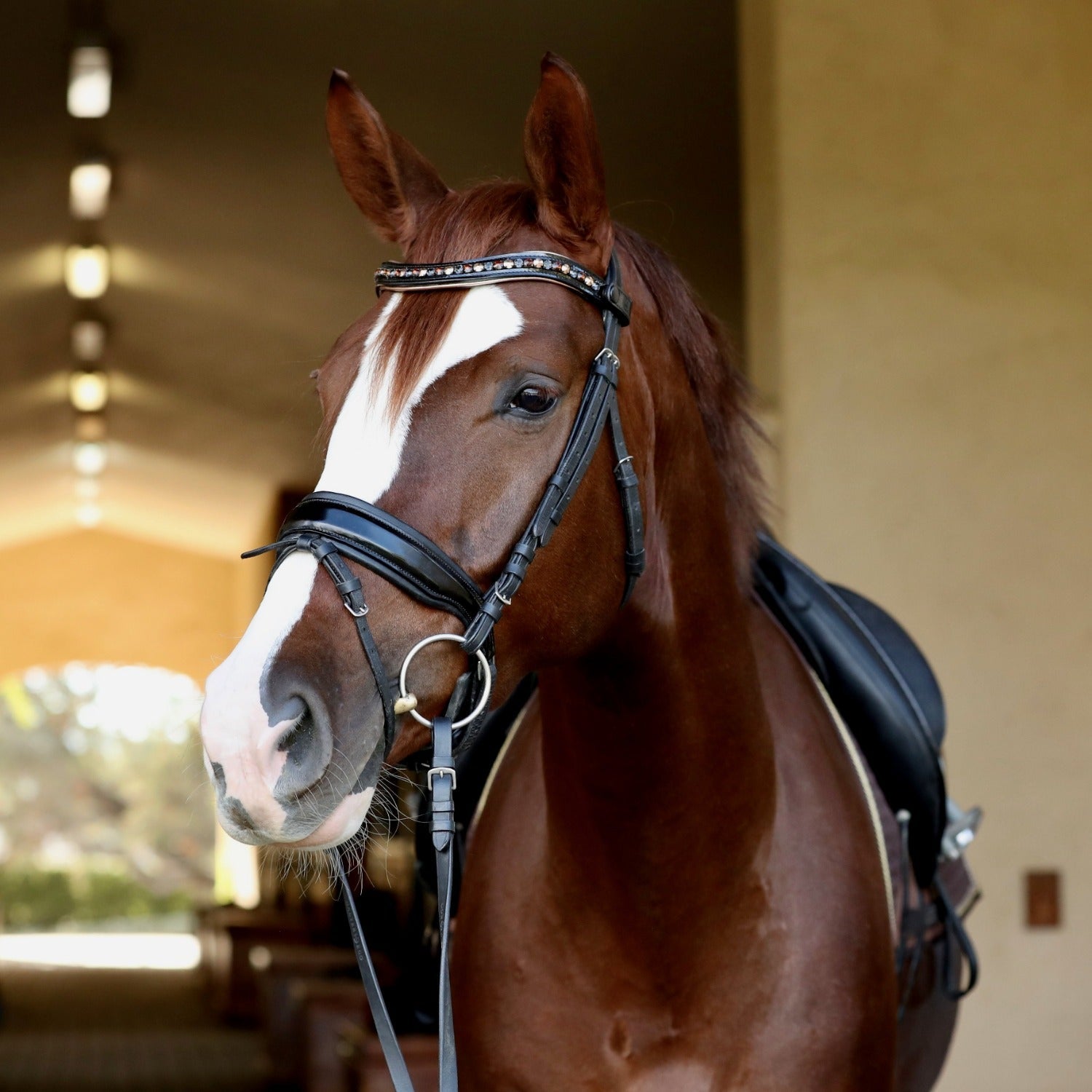Lyamora Limited Edition Black Patent Snap Browband
