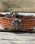 Leather Dog Collar With Antique Silver Starburst Conchos 10" to 22" W185S -DC57