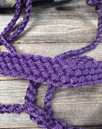 Purple Mule Tape Halter