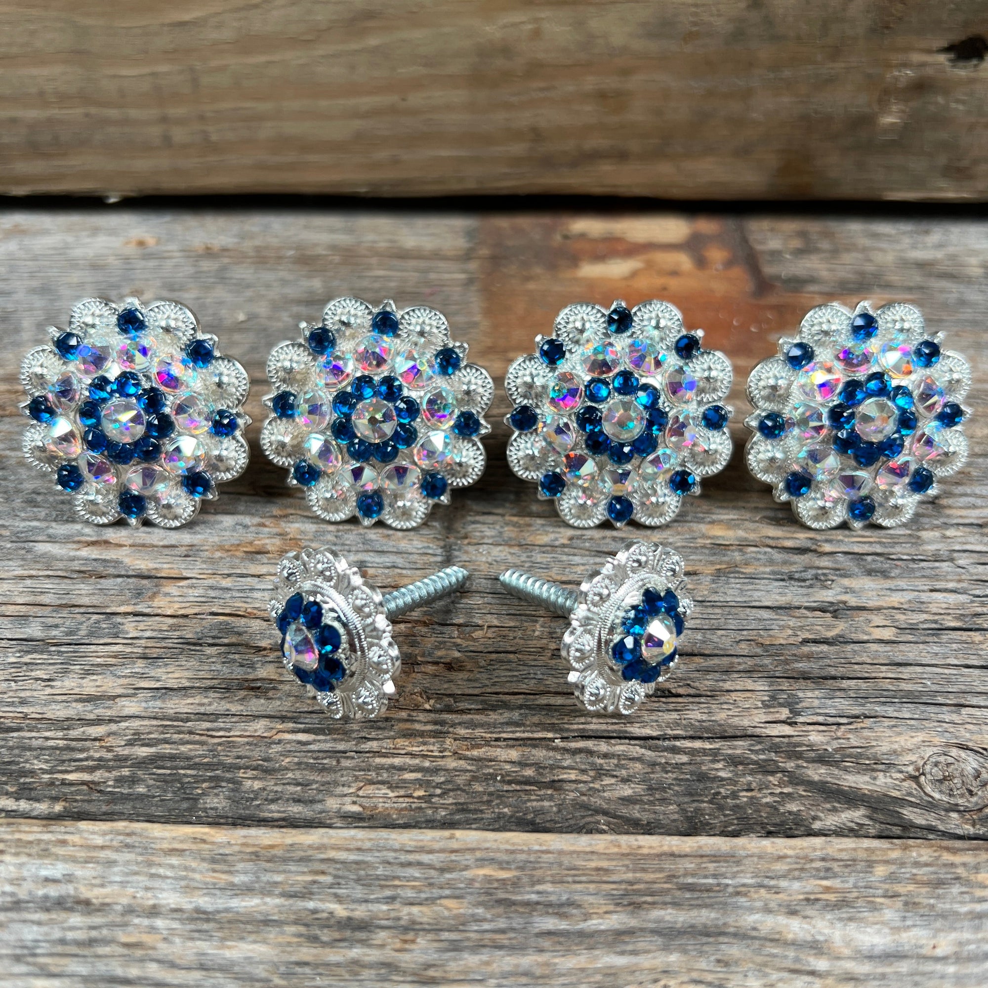 Bright Silver Capri &amp; AB Saddle Conchos