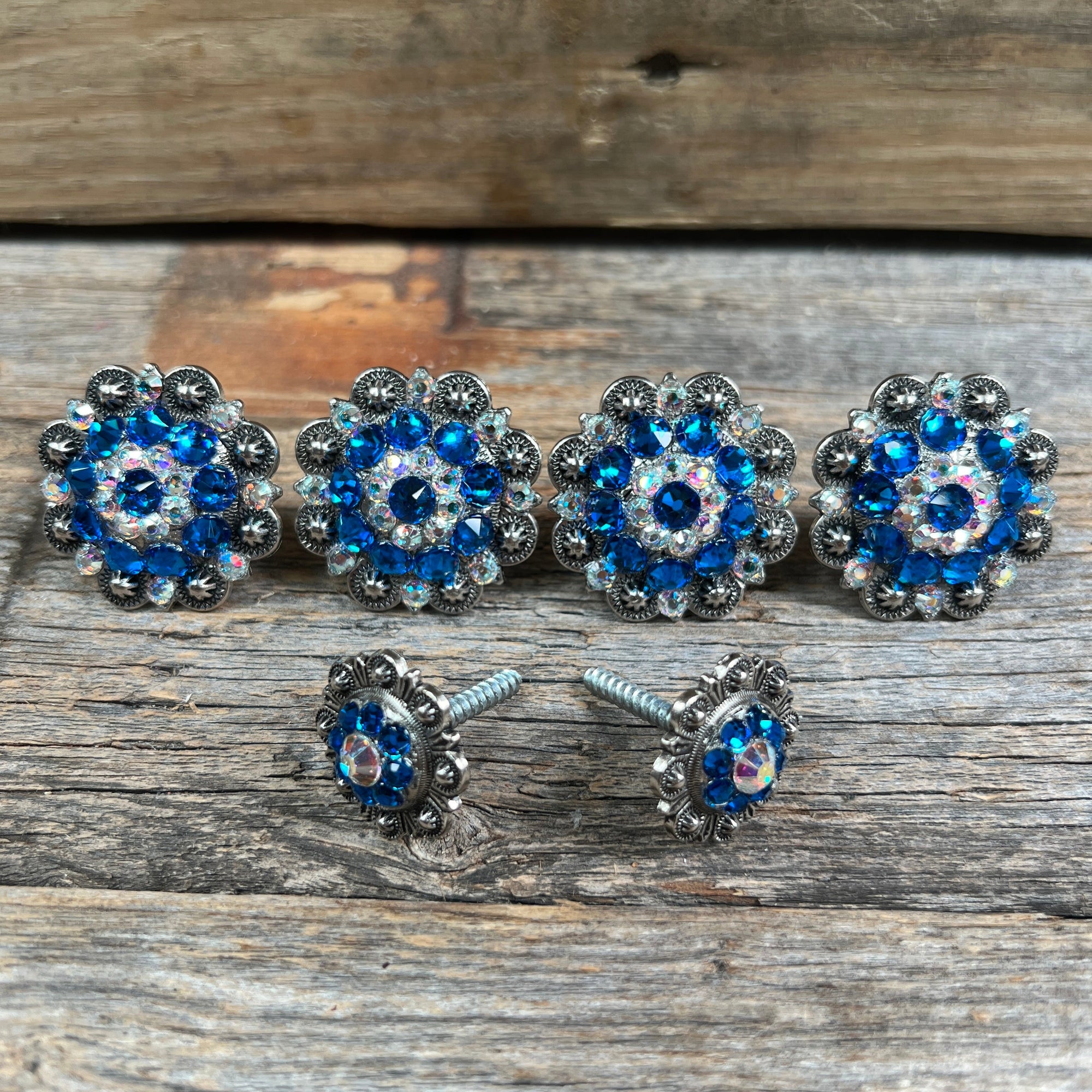 Antique Silver Capri &amp; AB Saddle Conchos