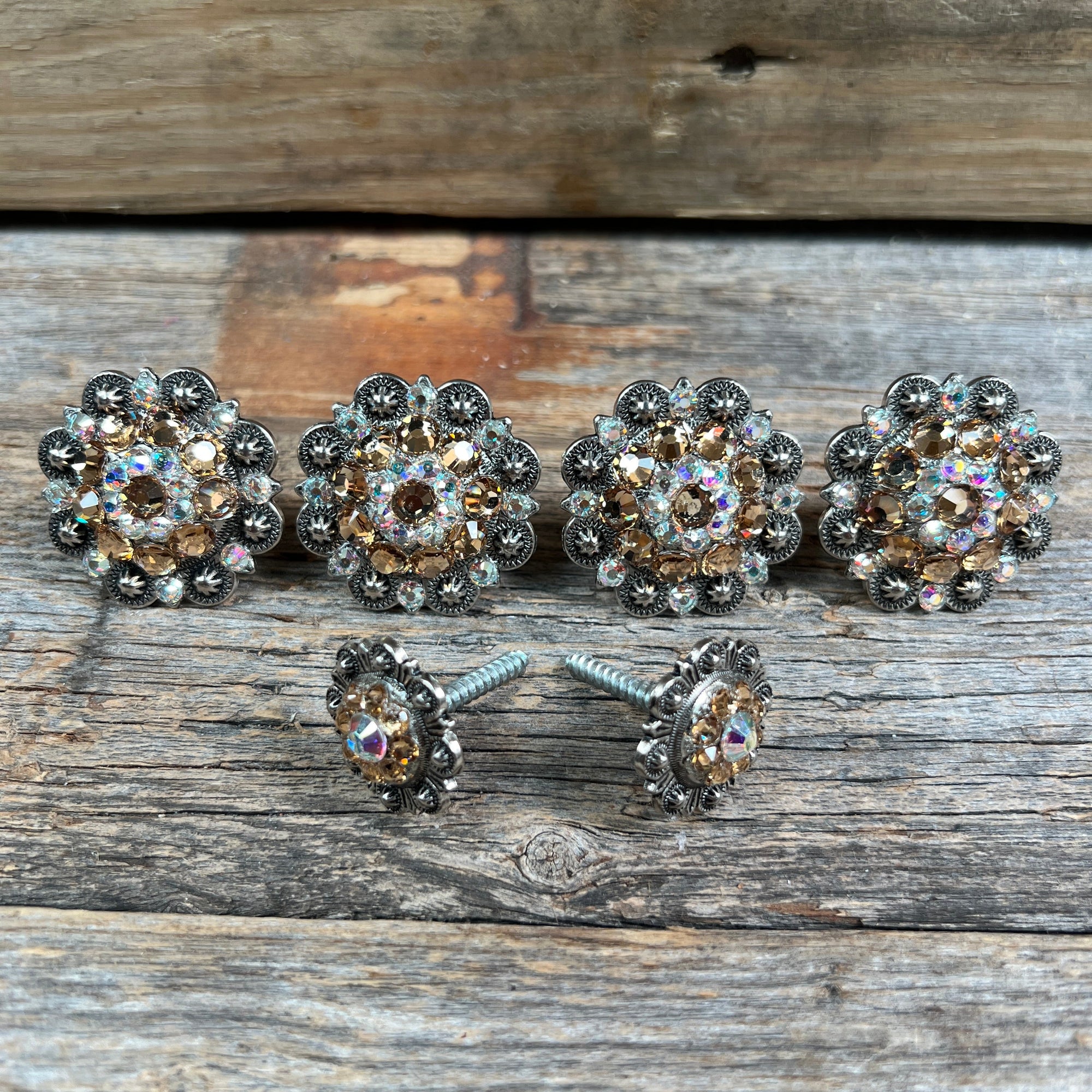 Antique Silver Champagne &amp; AB Saddle Conchos