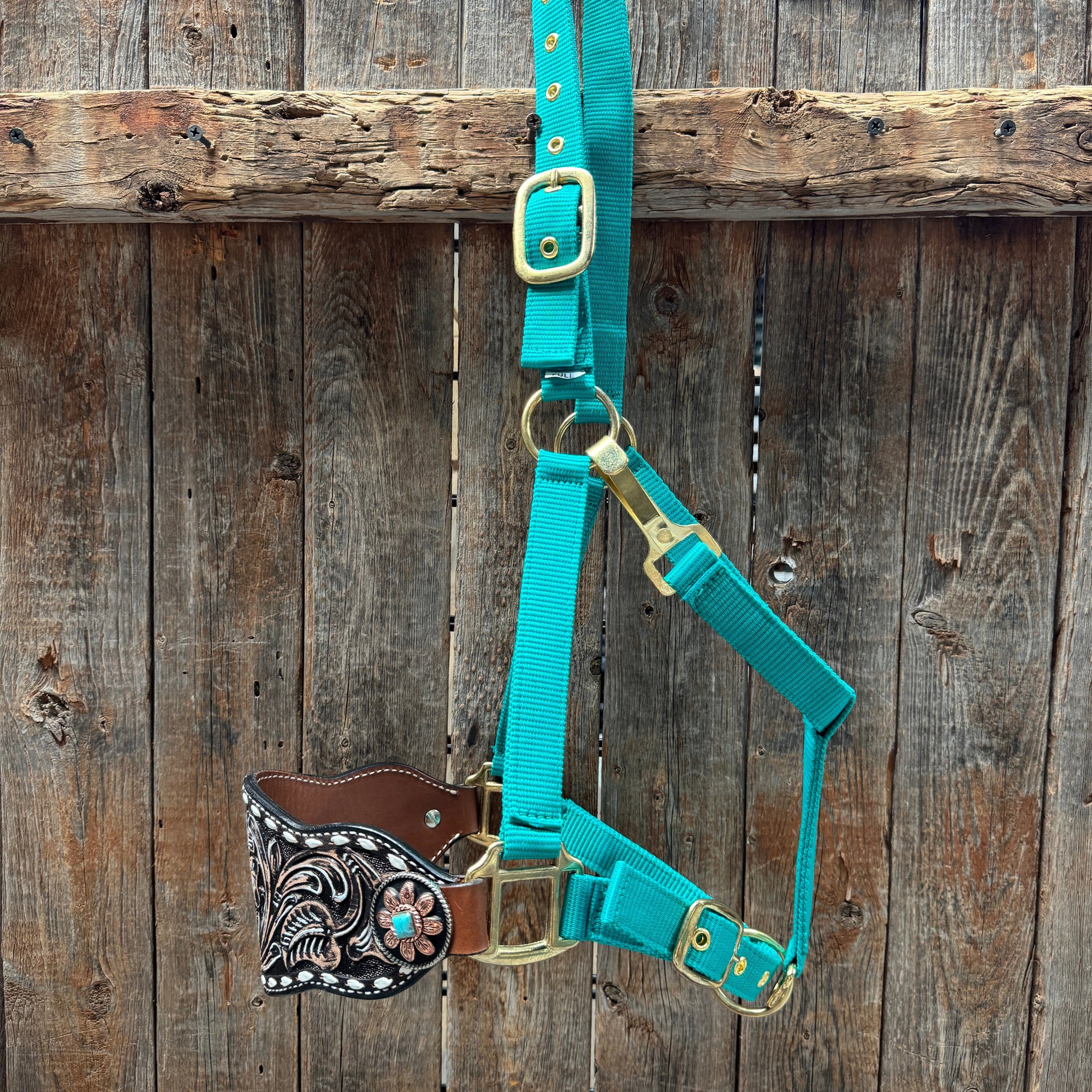 Teal Nylon Horse Halter – Bronc Noseband with Western Conchos NH107