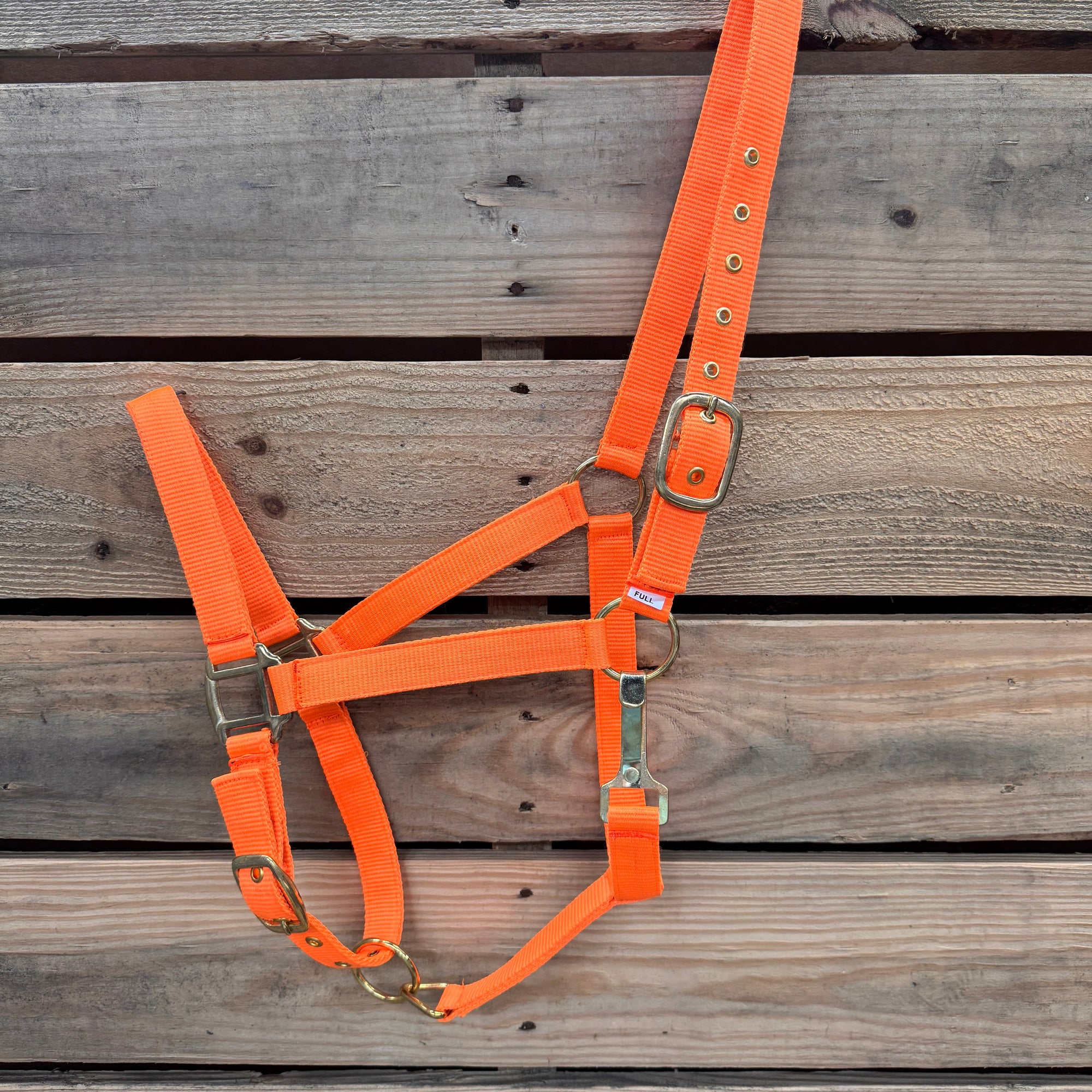 Orange Nylon Horse Halter NHORA
