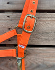 Orange Nylon Horse Halter NHORA