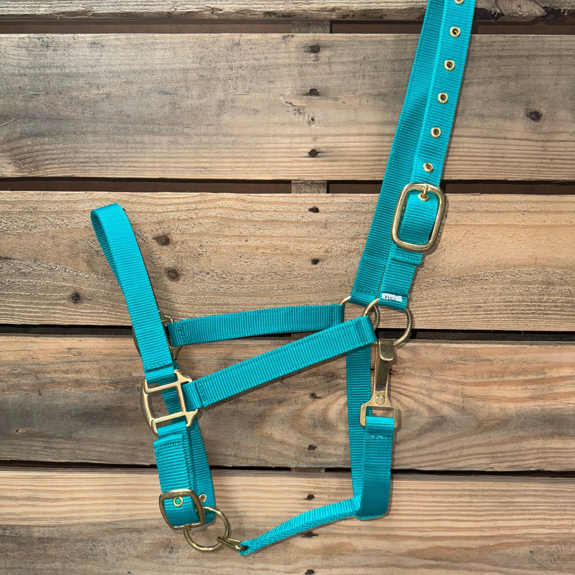 Teal  Nylon Horse Halter NHTEAL