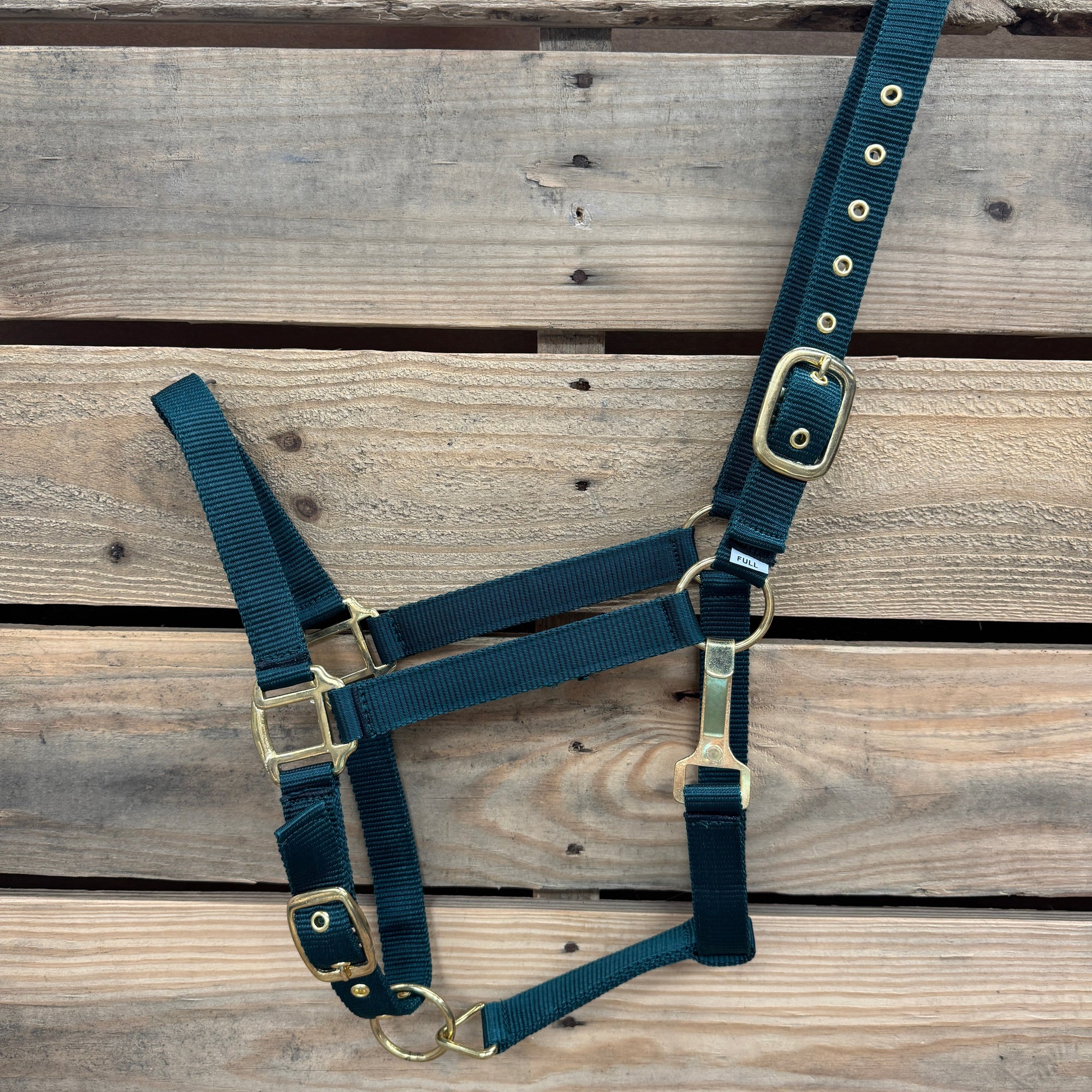 Hunter Green Nylon Horse Halter NHGRN
