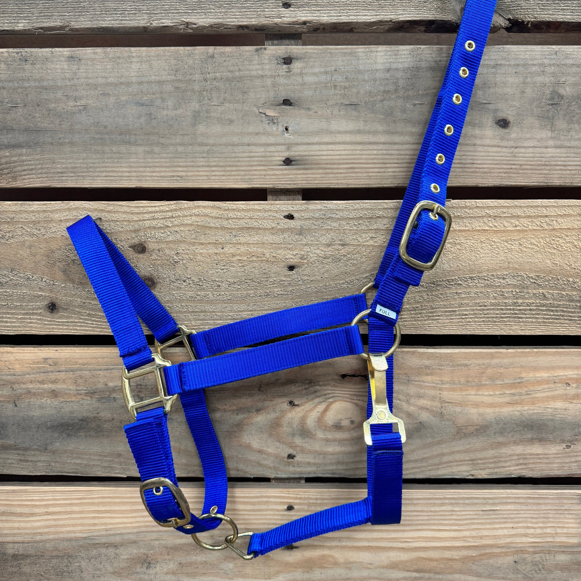 Blue Nylon Horse Halter NHBLUE