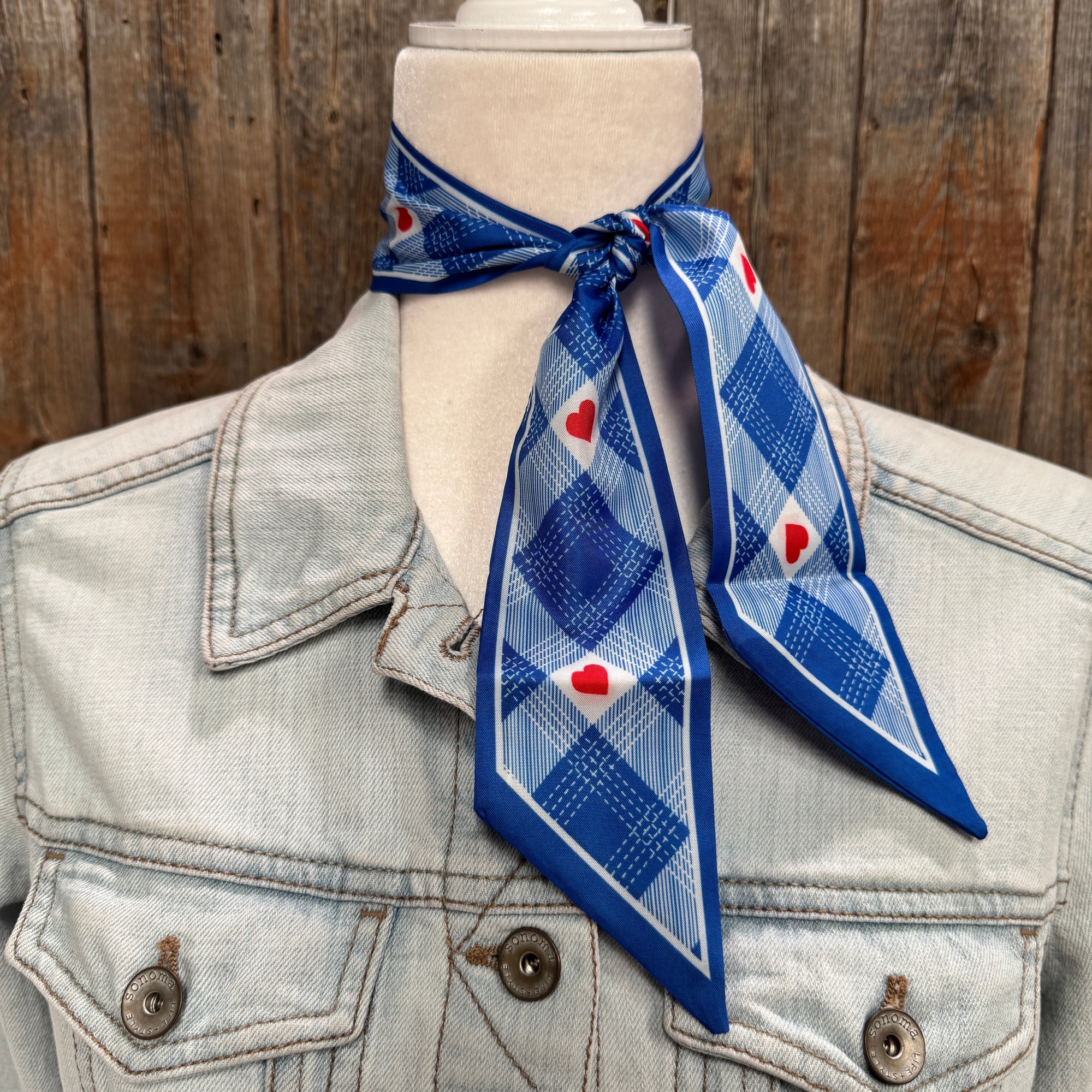 Blue Western Skinny Mini Wild Rag Scarf / Cowgirl Necktie  