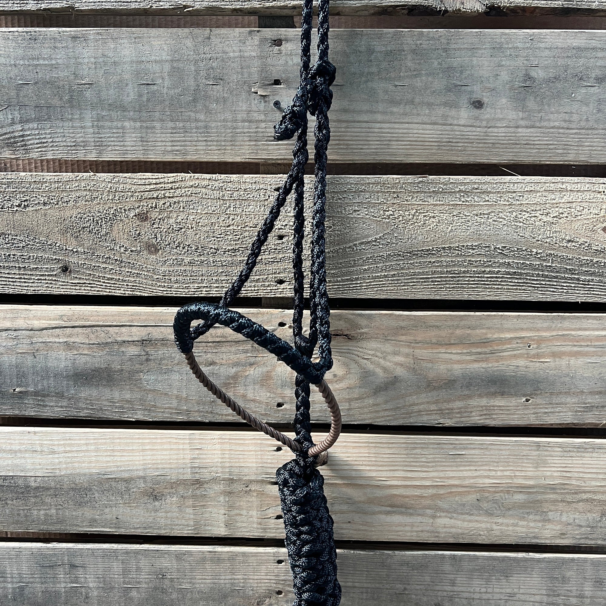 Lariat Mule Tape Halters - Assorted Colors-