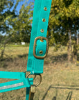Teal Bling Nylon Horse Halter BNHTEAL