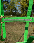 Lime Bling Nylon Horse Halter BNHNGN