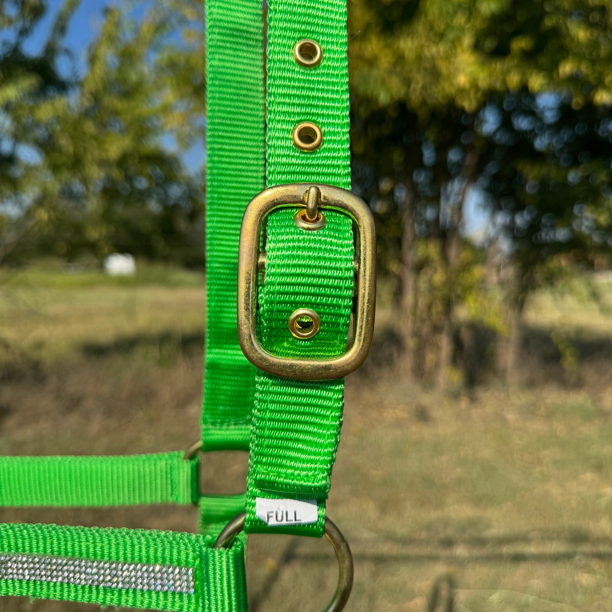 Lime Bling Nylon Horse Halter BNHNGN