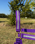 Purple Bling Nylon Horse Halter BNHPUR
