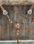 Floral Whipstitch Champagne and Clear Browband - Triangle / Gladiator Breastcollar Tack Set 