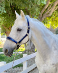 The Revolution Cobalt Blue Leather Halter