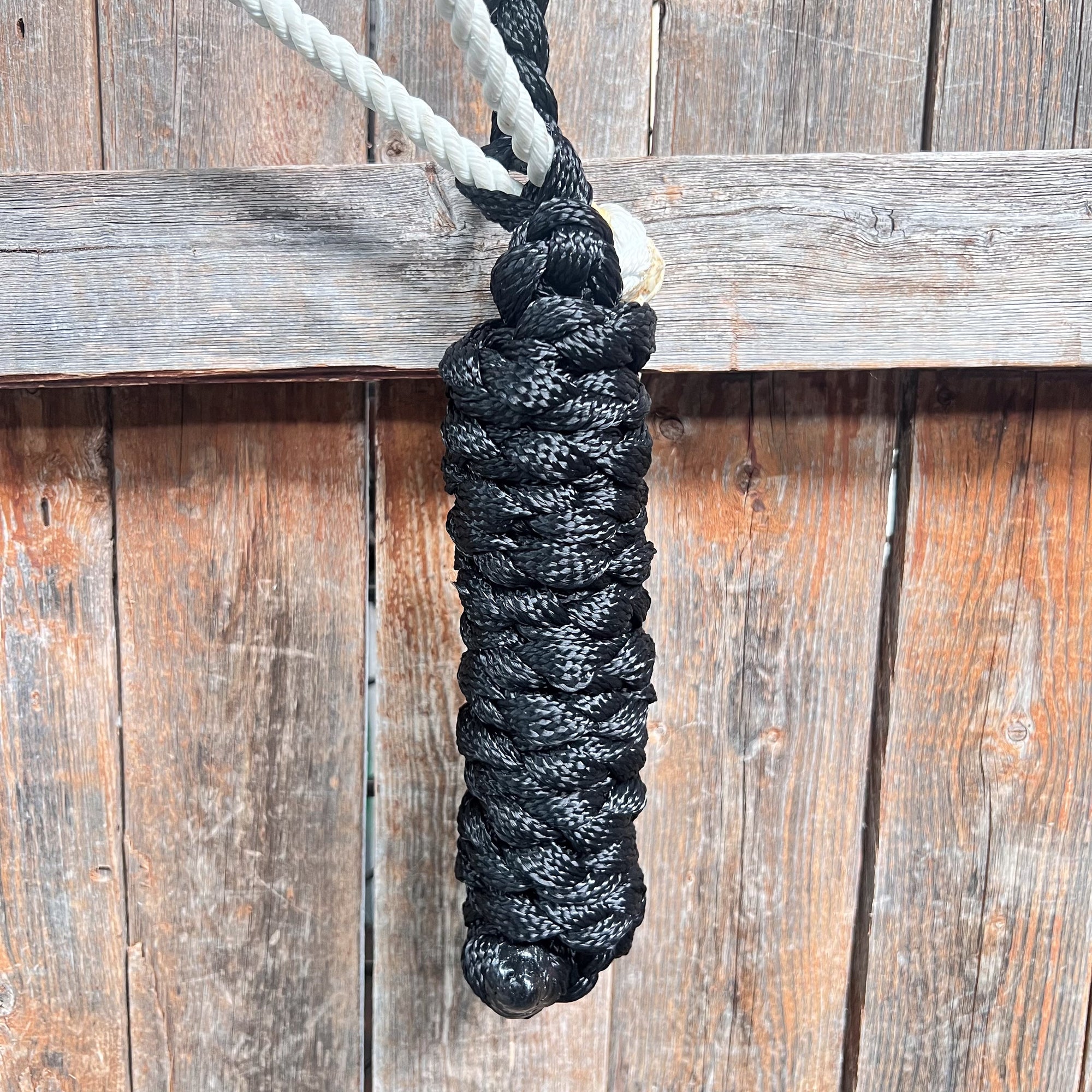 Black Mule Tape Halter with Lariat Noseband