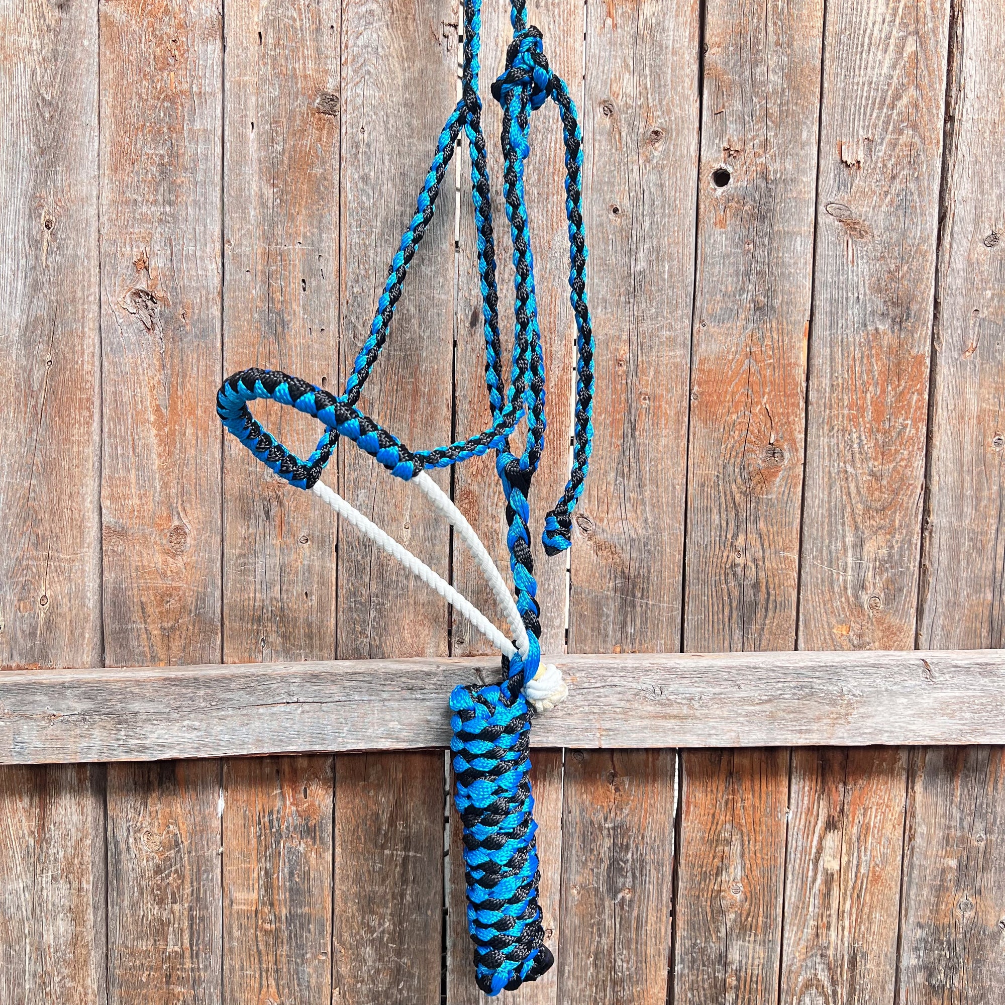 Blue and Black Mule Tape Halter with Lariat Noseband