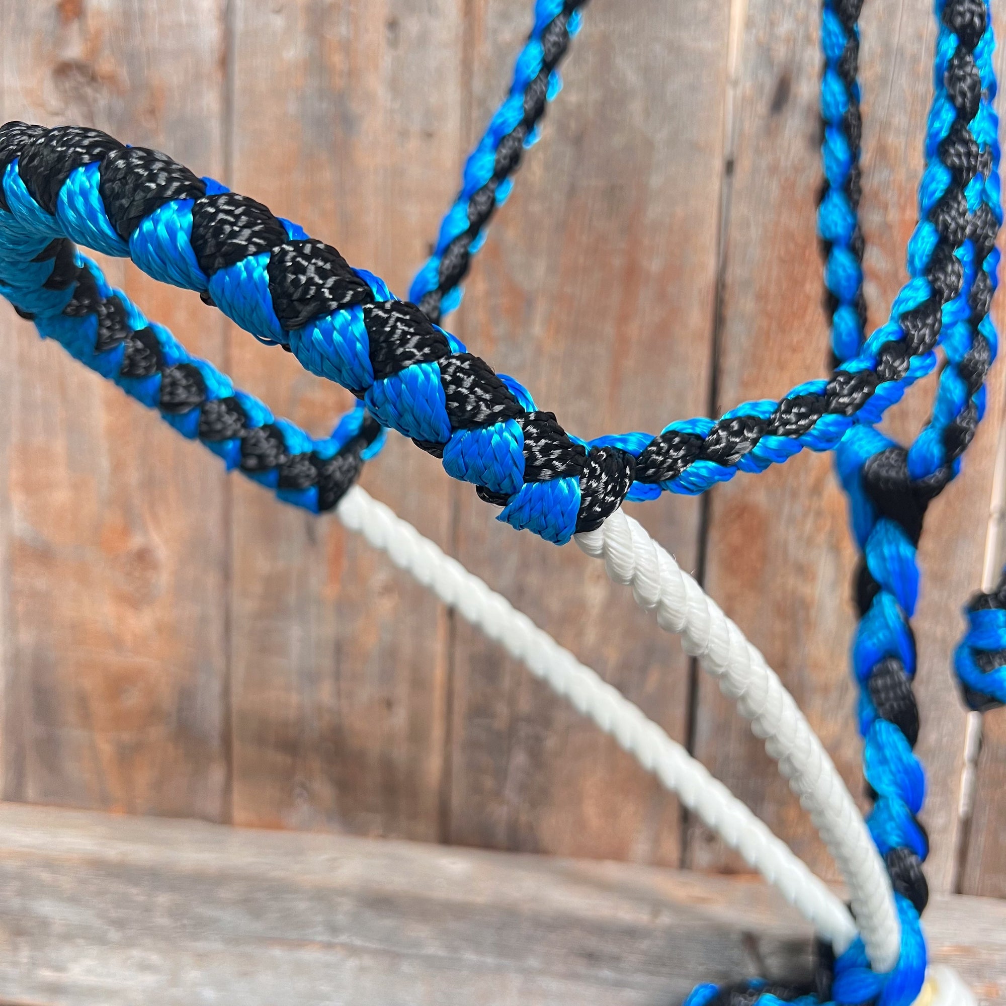 Blue and Black Mule Tape Halter with Lariat Noseband
